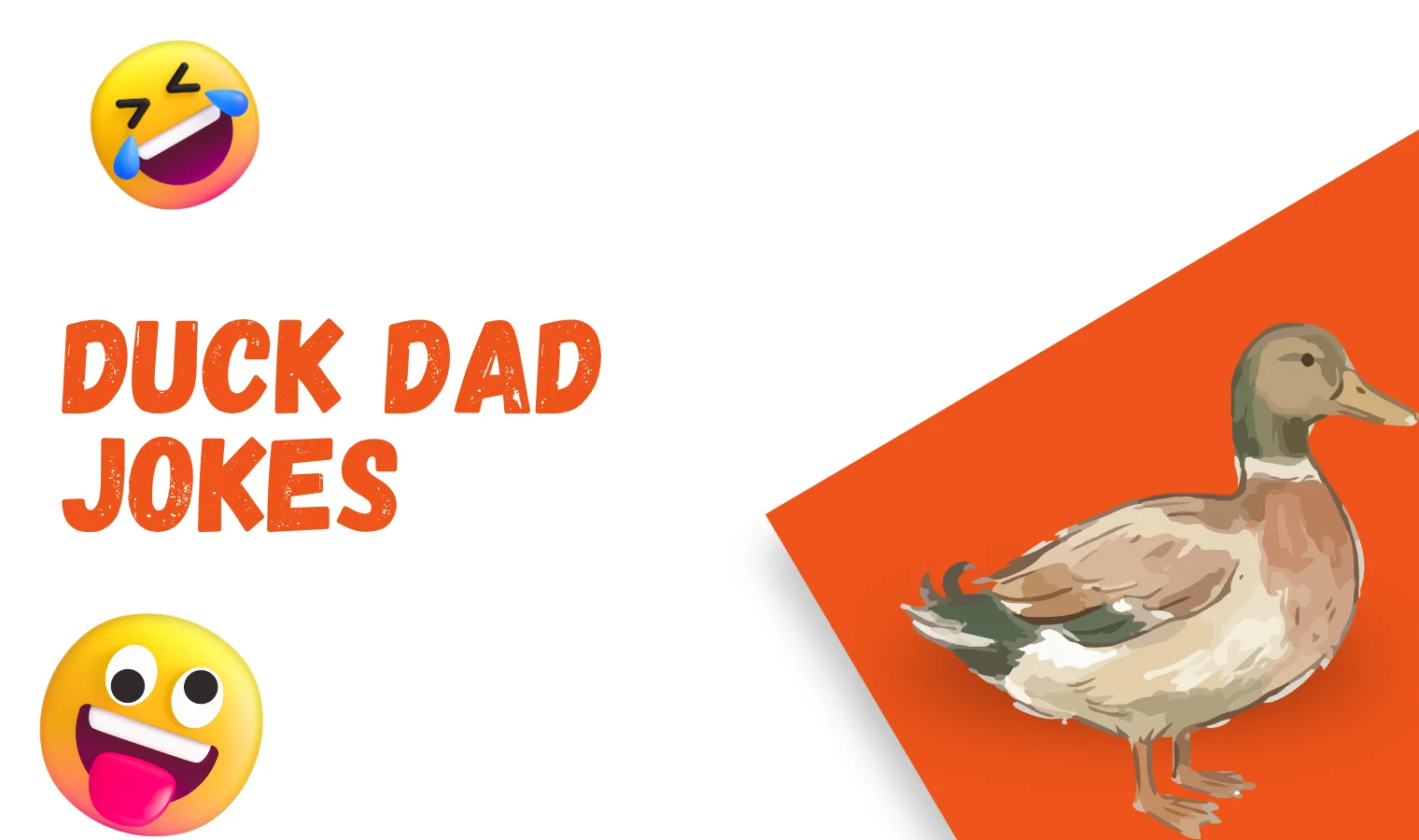 DUCK Dad Jokes