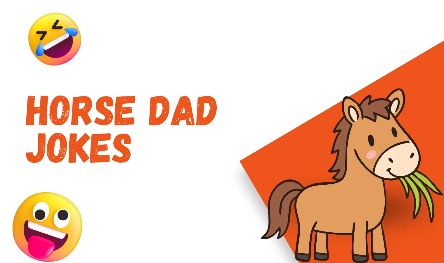 HORSE DAD JOKES
