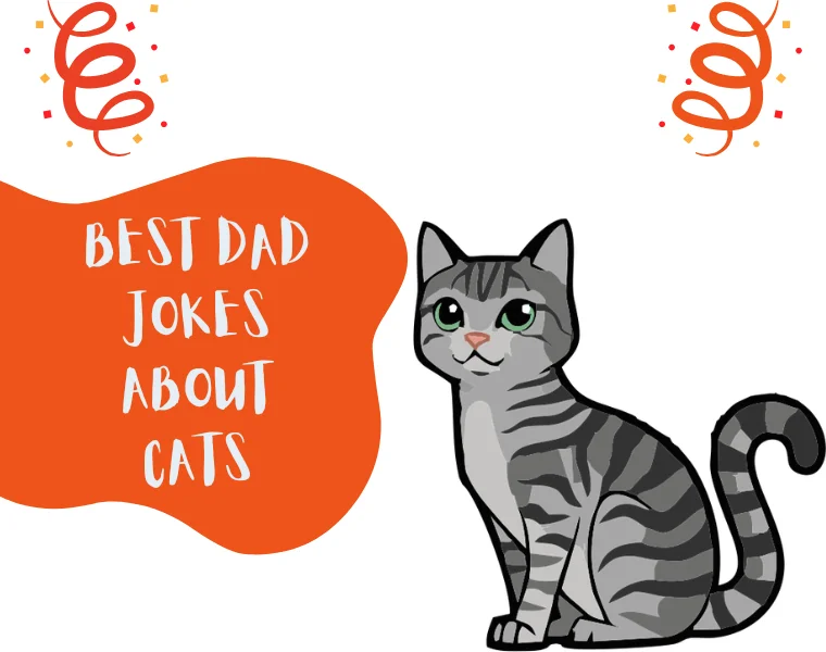 Best Dad Jokes About Cats